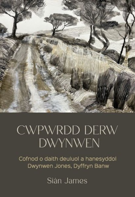 Cover image for Cwpwrdd Derw Dwynwen, isbn: 9781845248246