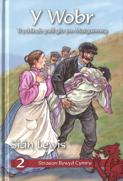 Cover image for Cyfres Straeon Bywyd Cymru: 2. y Wobr, isbn: 9781845270391