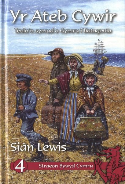 Cover image for Cyfres Straeon Bywyd Cymru: 4. yr Ateb Cywir, isbn: 9781845270414