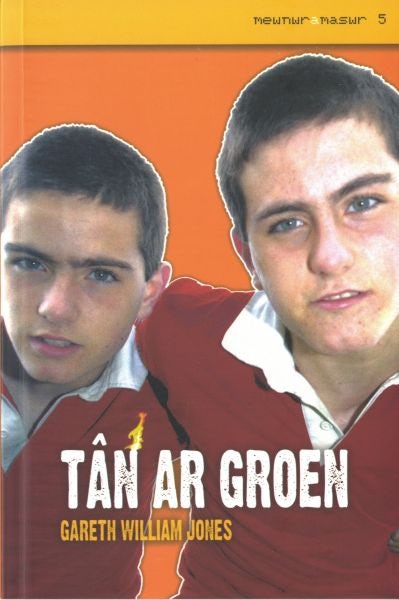 Cover image for Mewnwr a Maswr: 5. Tân ar Groen, isbn: 9781845270421