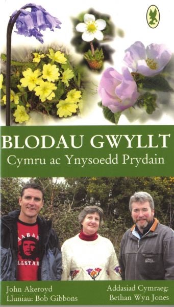 Cover image for Blodau Gwyllt Cymru ac Ynysoedd Prydain, isbn: 9781845270841