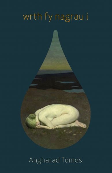 Cover image for Wrth fy Nagrau i, isbn: 9781845271527