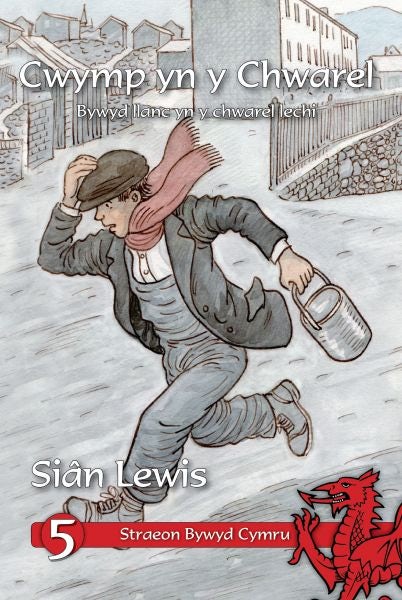 Cover image for Cyfres Straeon Bywyd Cymru: 5. Cwymp yn y Chwarel, isbn: 9781845271633
