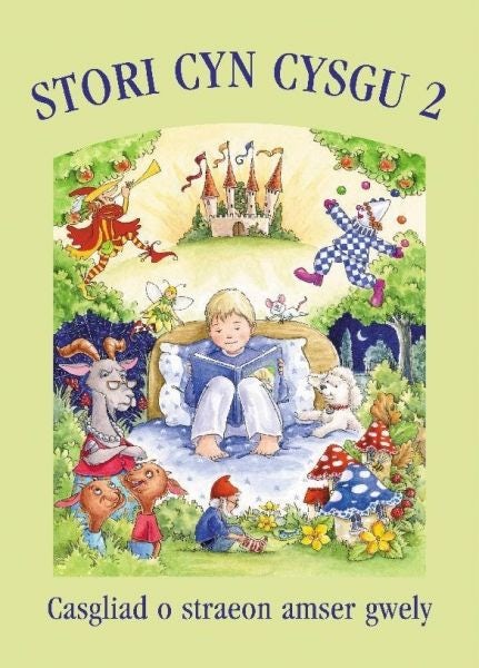 Cover image for Stori Cyn Cysgu: 2, isbn: 9781845271657