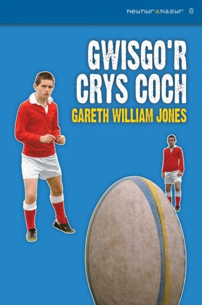 Cover image for Mewnwr a Maswr: 8. Gwisgo'r Crys Coch, isbn: 9781845272180