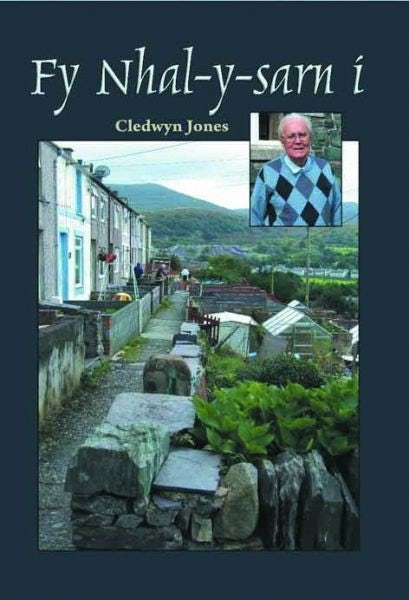 Cover image for Fy Nhal-y-Sarn I, isbn: 9781845272289