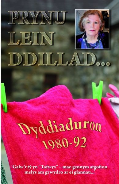 Cover image for Prynu Lein Ddillad  Dyddiaduron 198092, isbn: 9781845272371