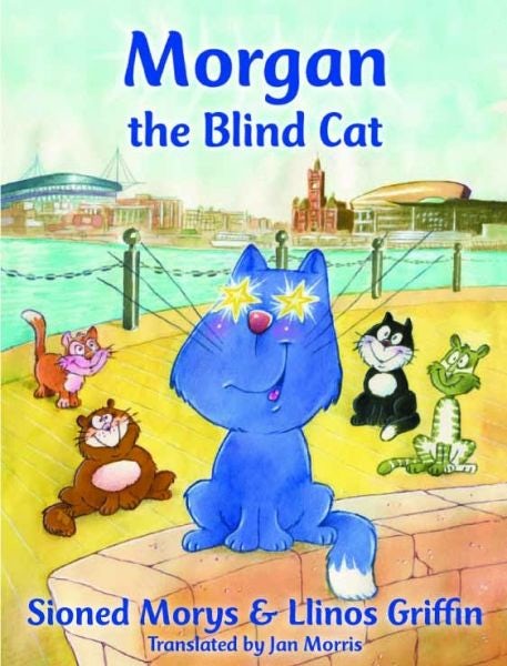 Cover image for Morgan the Blind Cat, isbn: 9781845272562