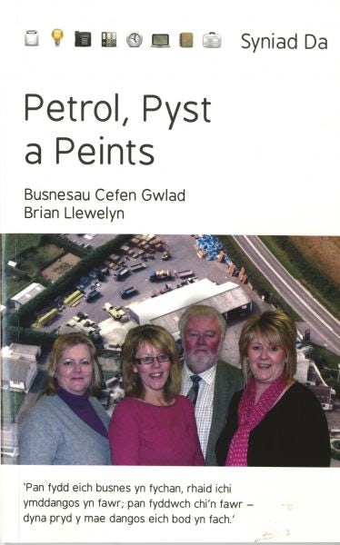 Cover image for Cyfres Syniad Da: Petrol, Pyst a Peints - Busnesau Cefen Gwlad, isbn: 9781845273361