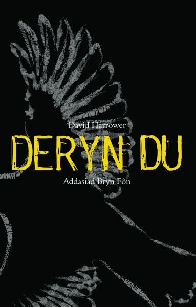 Cover image for Deryn Du, isbn: 9781845273590