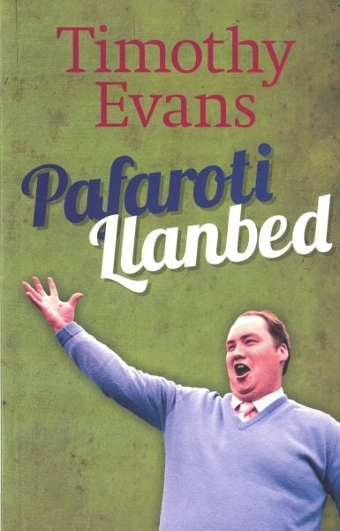 Cover image for Pafaroti Llanbed, isbn: 9781845273613