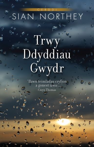 Cover image for Trwy Ddyddiau Gwydr, isbn: 9781845273767