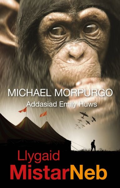 Cover image for Llygaid Mistar Neb, isbn: 9781845274115