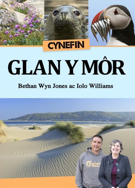 Cover image for Cyfres Cynefin: 2. Cynefin Glan y Môr, isbn: 9781845274221