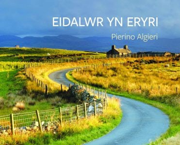 Cover image for Eidalwr yn Eryri, isbn: 9781845274238