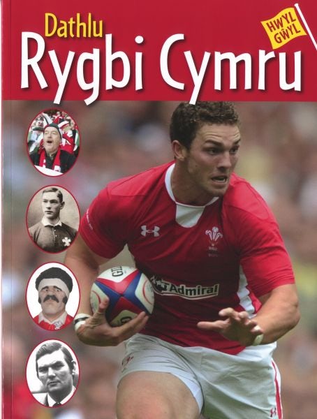 Cover image for Hwyl Gŵyl: Dathlu Rygbi Cymru, isbn: 9781845274429