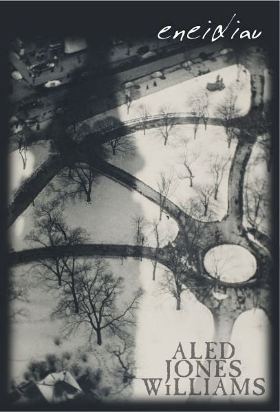 Cover image for Eneidiau, isbn: 9781845274481