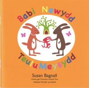 Cover image for Babi Newydd Teulu Meysydd, isbn: 9781845274610