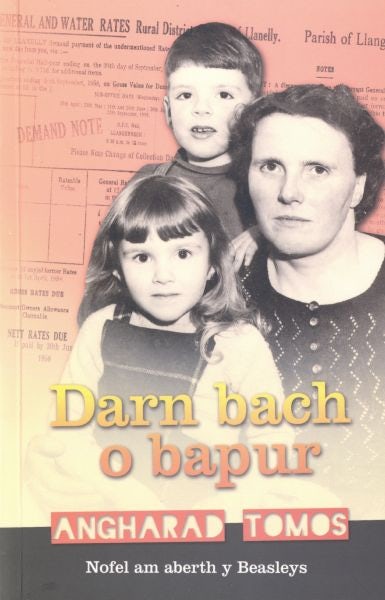 Cover image for Darn Bach o Bapur, isbn: 9781845274931