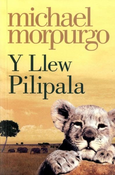 Cover image for Llew Pilipala, Y, isbn: 9781845274955