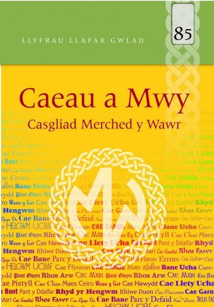 Cover image for Llyfrau Llafar Gwlad: 85. Caeau a Mwy - Casgliad Merched y Wawr, isbn: 9781845275112