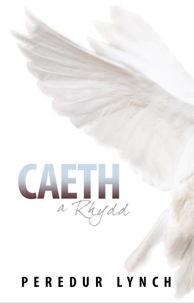 Cover image for Caeth a Rhydd, isbn: 9781845275303