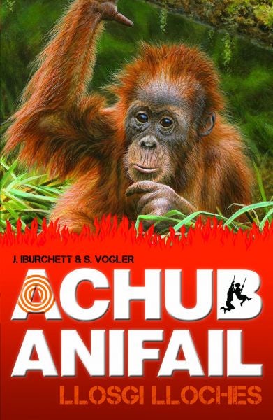 Cover image for Achub Anifail: Llosgi Lloches, isbn: 9781845275747