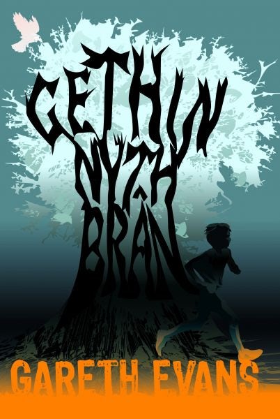 Cover image for Gethin Nyth Brân, isbn: 9781845276249