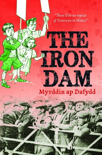 Cover image for The Iron Dam, isbn: 9781845276355