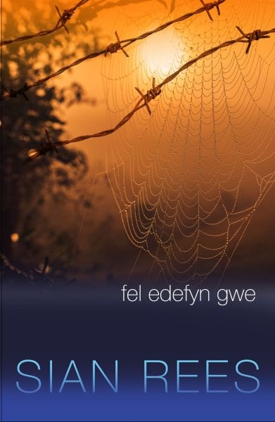 Cover image for Fel Edefyn Gwe, isbn: 9781845276539
