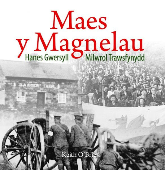 Cover image for Cyfres Celc Cymru: Maes y Magnelau - Hanes Gwersyll Milwrol Trawsfynydd, isbn: 9781845276553