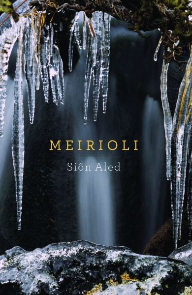 Cover image for Meirioli, isbn: 9781845276621