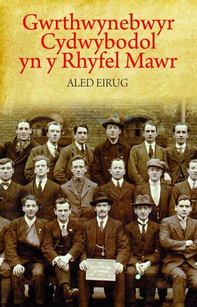 Cover image for Gwrthwynebwyr Cydwybodol i'r Rhyfel Mawr, isbn: 9781845276690