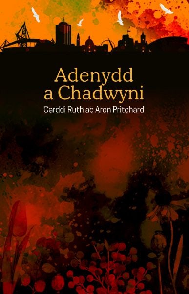 Cover image for Adenydd a Chadwyni, isbn: 9781845276706