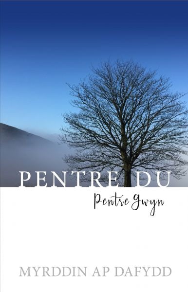 Cover image for Pentre Du, Pentre Gwyn, isbn: 9781845276904