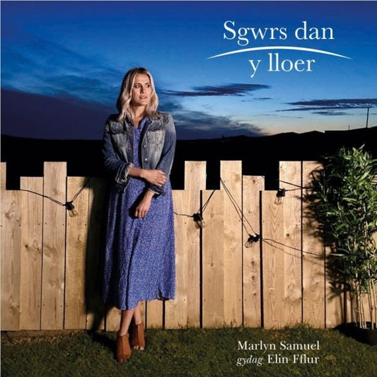 Cover image for Sgwrs dan y Lloer, isbn: 9781845277123