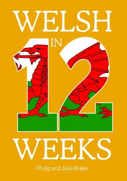 Cover image for Welsh in 12 Weeks, isbn: 9781845277246