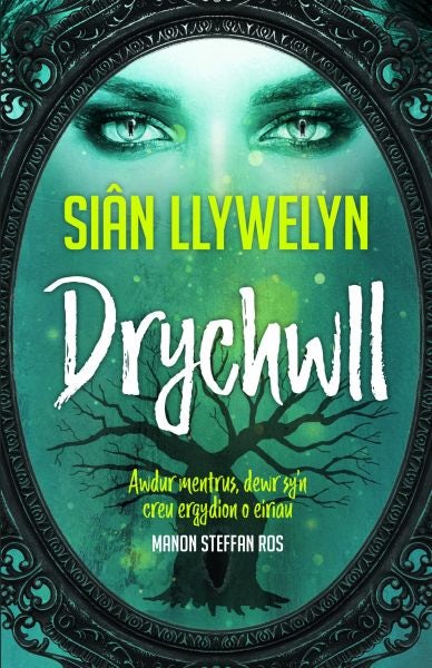 Cover image for Drychwll, isbn: 9781845277437