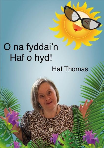 Cover image for O na fyddai'n Haf o hyd!, isbn: 9781845278069