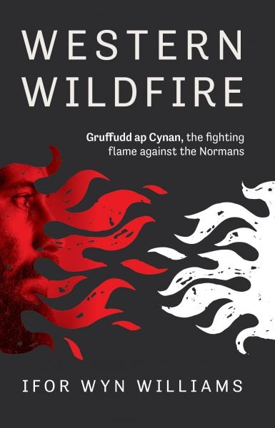 Cover image for Western Wildfire, isbn: 9781845278342
