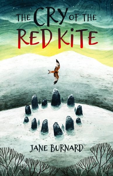 Cover image for The Cry of the Red Kite, isbn: 9781845278854