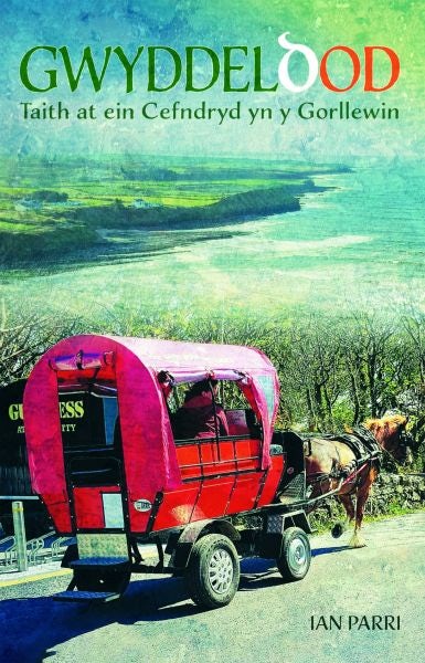 Cover image for Gwyddeldod: Taith at ein Cefndryd yn y Gorllewin, isbn: 9781845279004