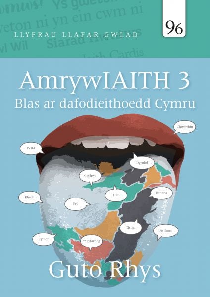 Cover image for Amrywiaith 3, isbn: 9781845279059
