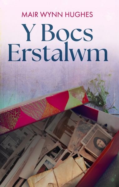 Cover image for Y Bocs Erstalwm, isbn: 9781845279448
