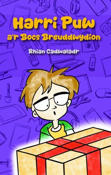Cover image for Harri Puw a'r Bocs Breuddwydion, isbn: 9781845279837