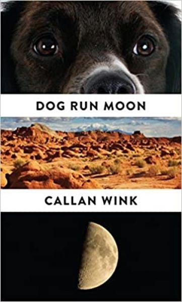 Cover image for Dog Run Moon, isbn: 9781847088147