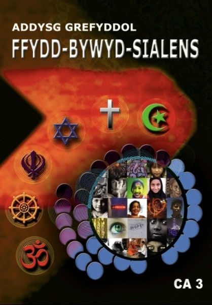 Cover image for Ffydd Bywyd Sialens - Addysg Grefyddol, Cyfnod Allweddol 3 (DVD), isbn: 9781847130938