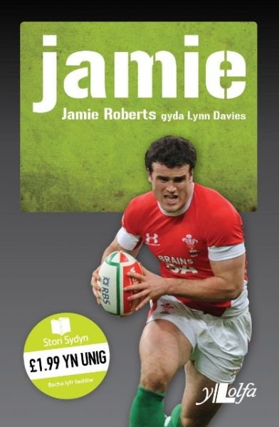 Cover image for Stori Sydyn: Jamie  Y Llew yn Ne Affrica, isbn: 9781847711724