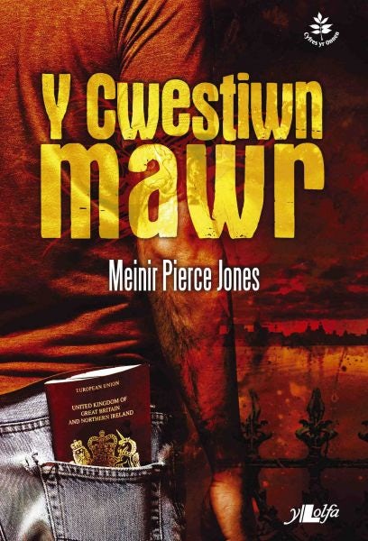 Cover image for Cyfres yr Onnen: Y Cwestiwn Mawr, isbn: 9781847712134