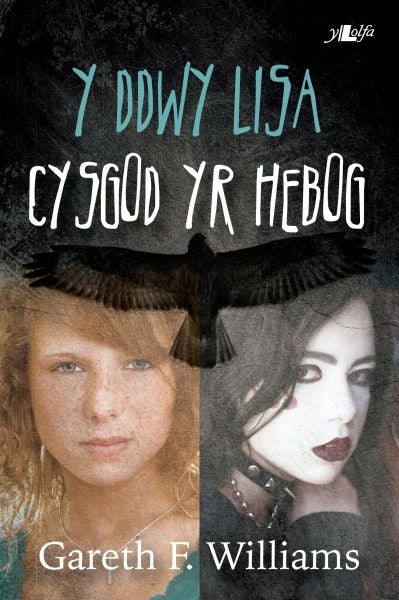 Cover image for Cyfres y Dderwen: Y Ddwy Lisa - Cysgod yr Hebog, isbn: 9781847712370